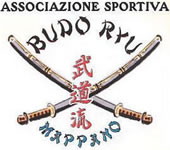 Budo Ryu